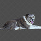 Stock Freebie Dog PNG Overlay