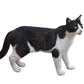 Stock Freebie Cat PNG Overlay