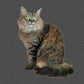 Stock Freebie Cat PNG Overlay