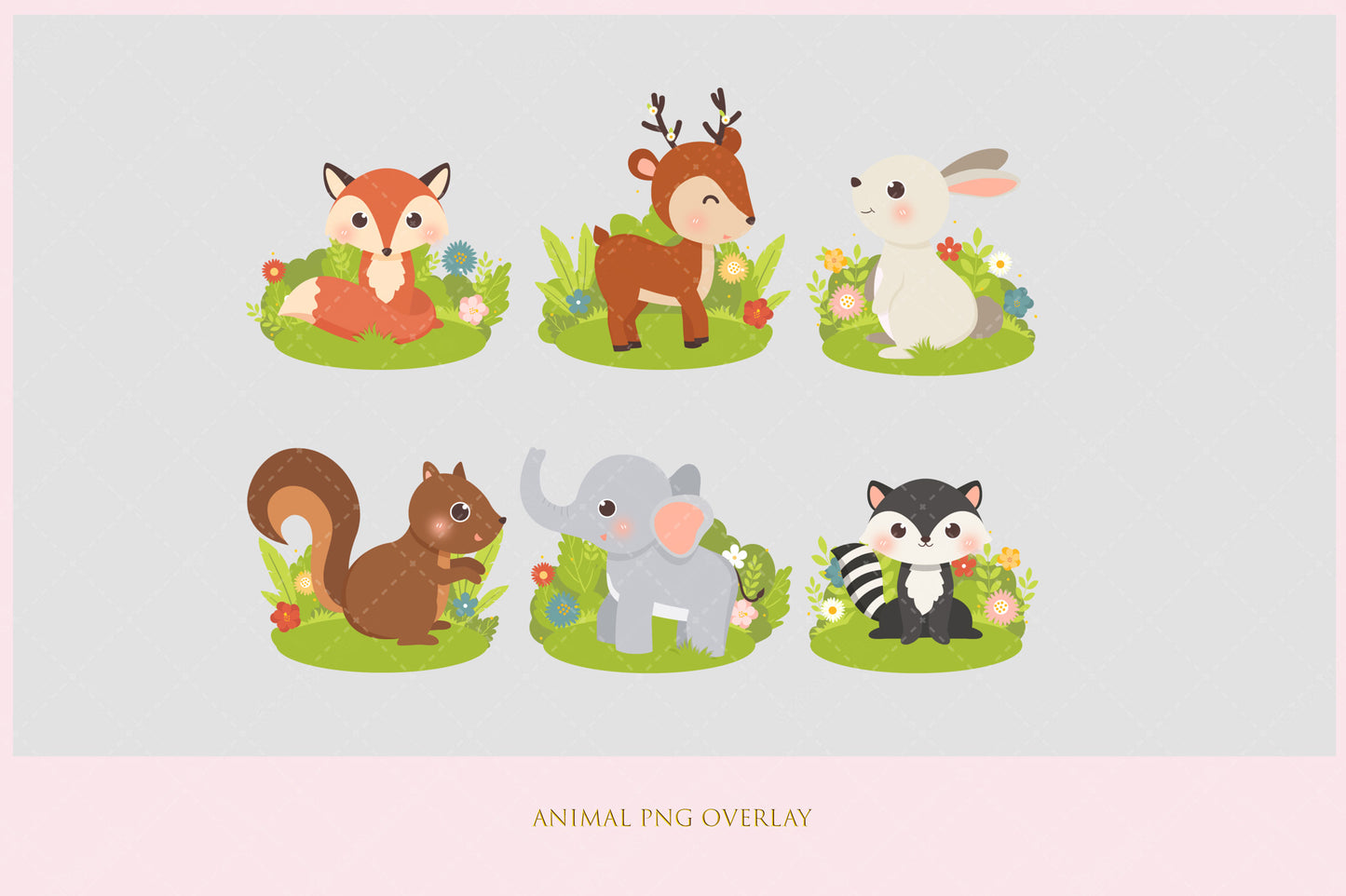 Animal PNG Overlay