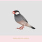 Stock Freebie Bird PNG Overlay