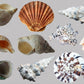 Shell Overlay