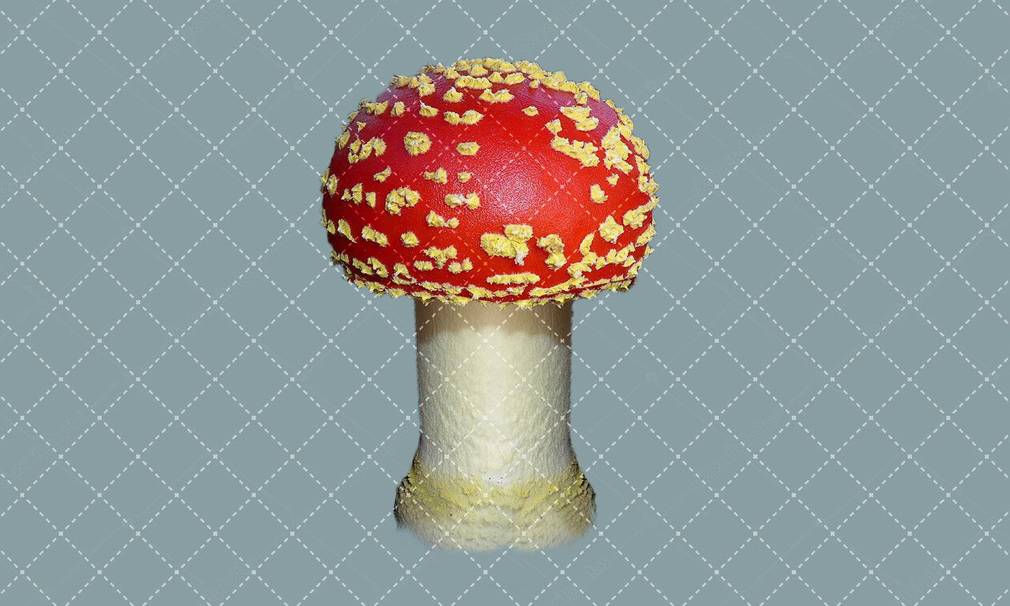 Stock Freebie Mushroom PNG