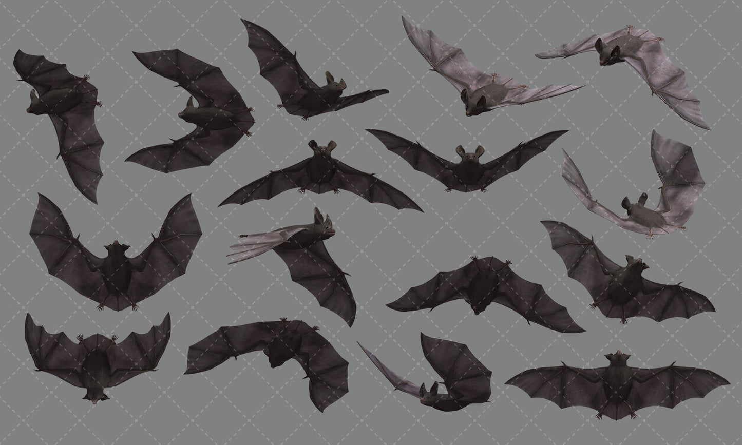 Bat Overlay