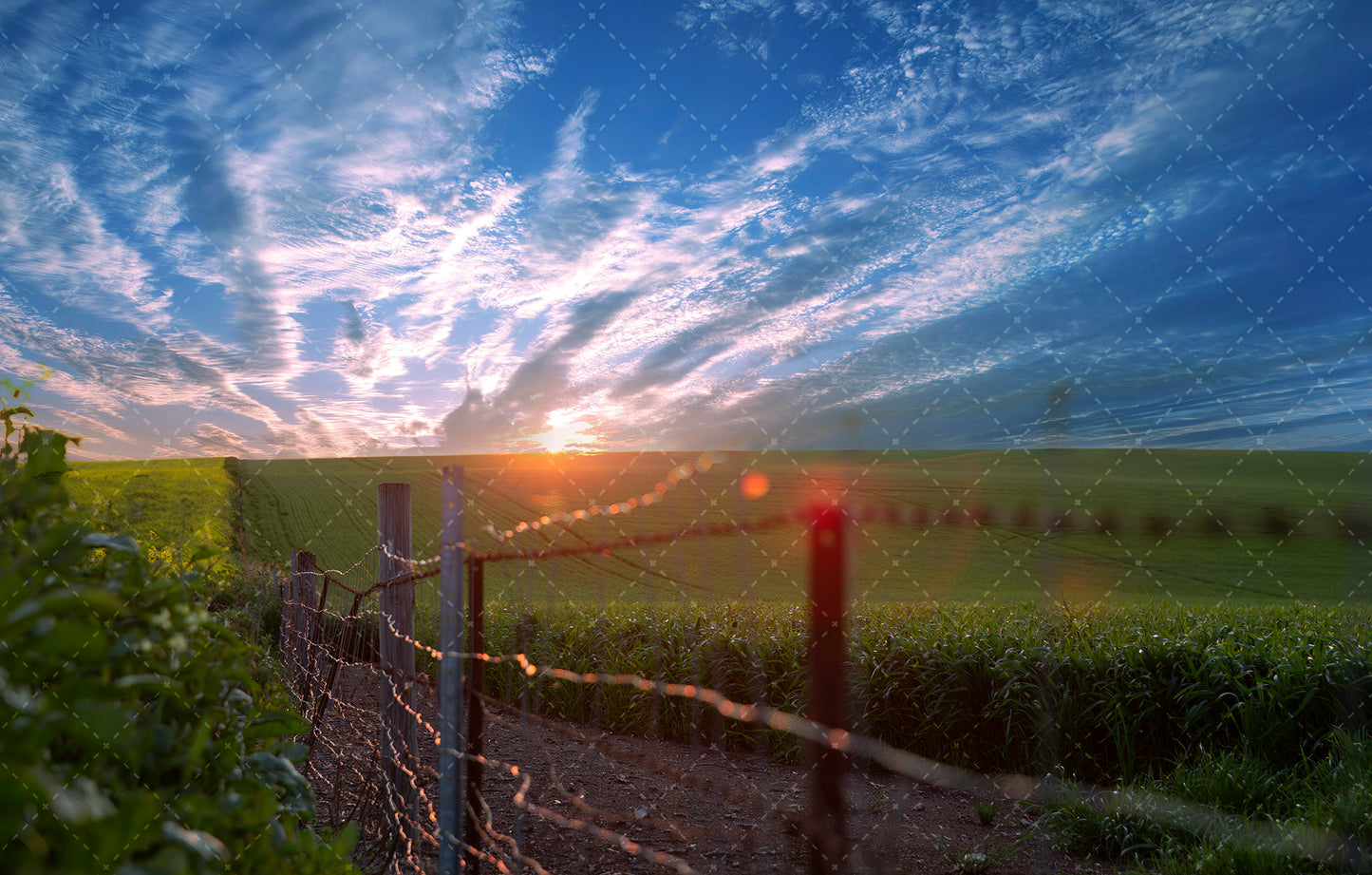 Barossa Valley