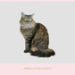 Stock Freebie Cat PNG Overlay