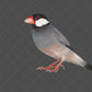 Stock Freebie Bird PNG Overlay