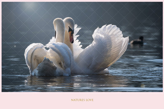 Natures Love