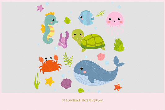 Sea Animal Overlay