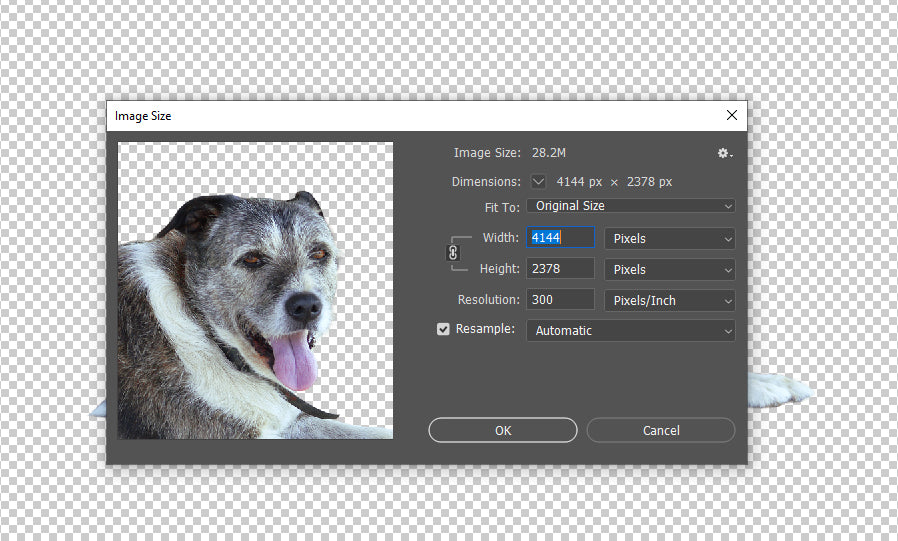 Stock Freebie Dog PNG Overlay