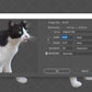 Stock Freebie Cat PNG Overlay