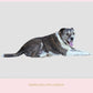 Stock Freebie Dog PNG Overlay