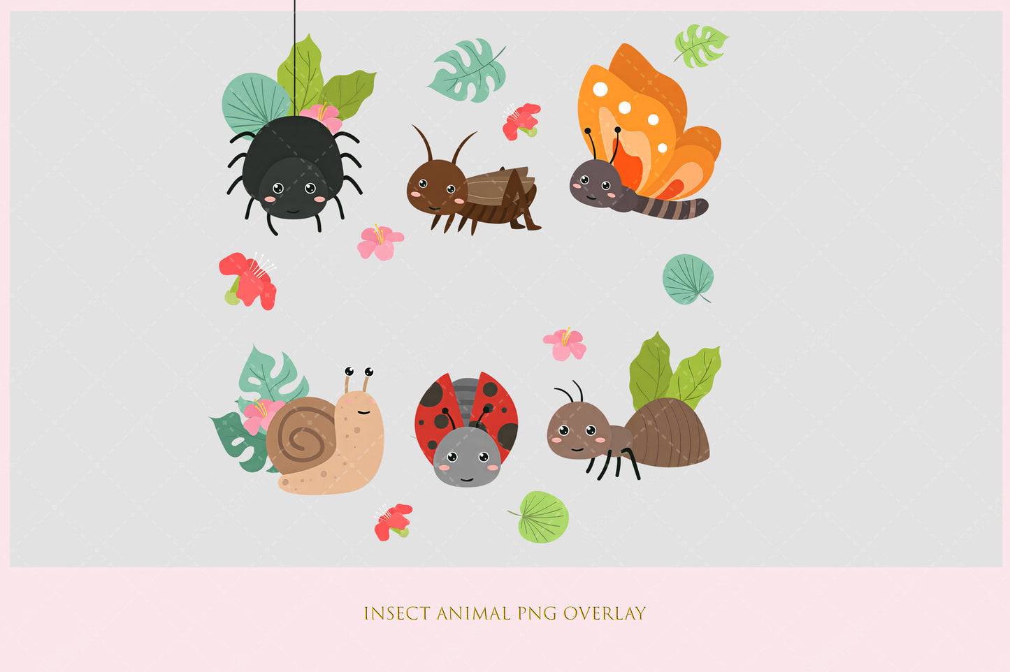 Insect Animal PNG Overlay