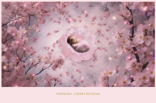 Newborn Cherry Blossom