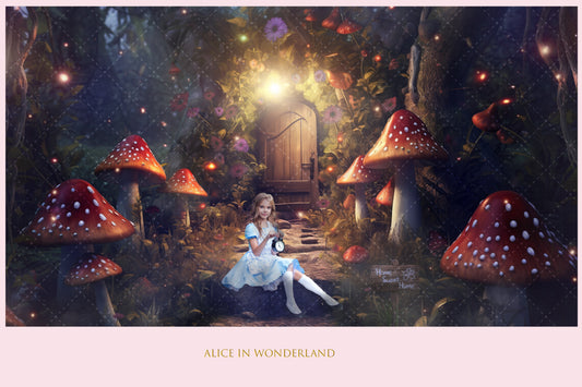 Alice in Wonderland Entrance