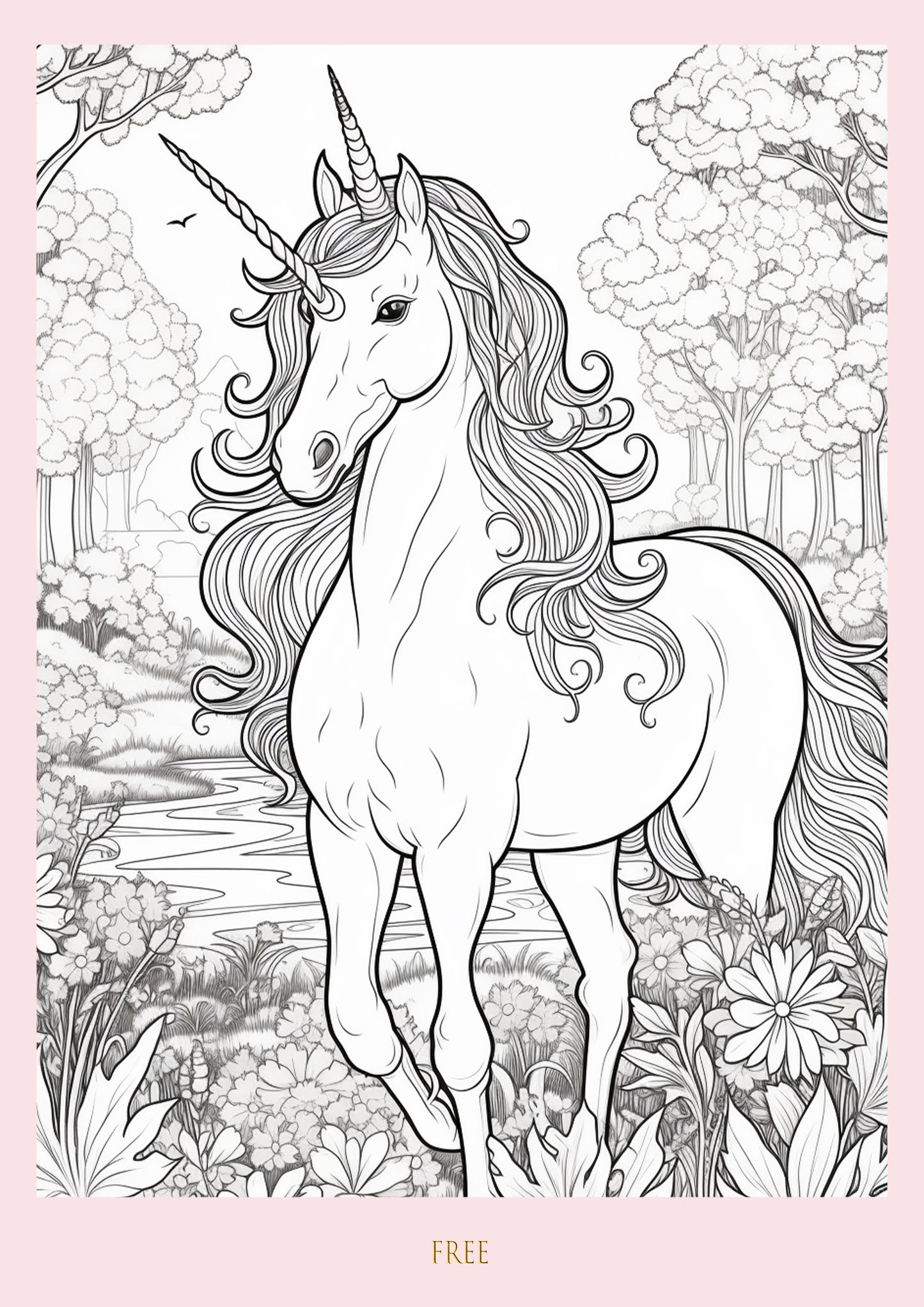 Colour Me Unicorn