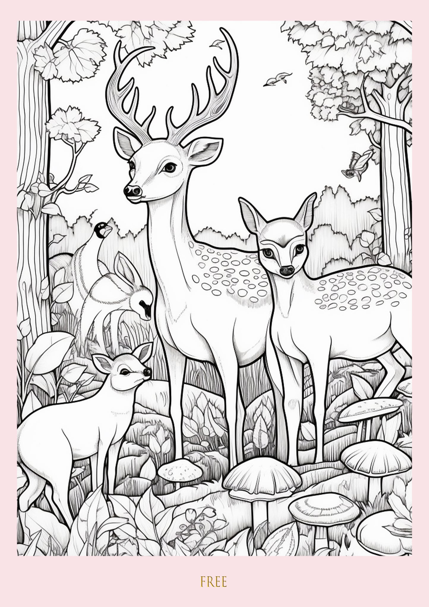 Colour Me Deer