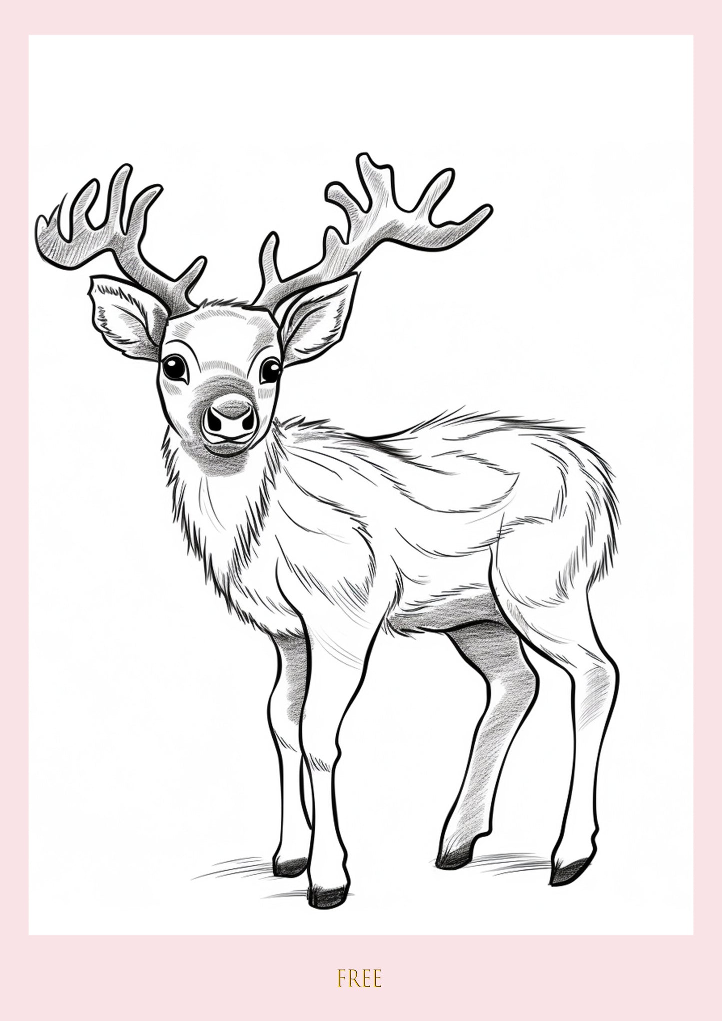 Colour Me Deer