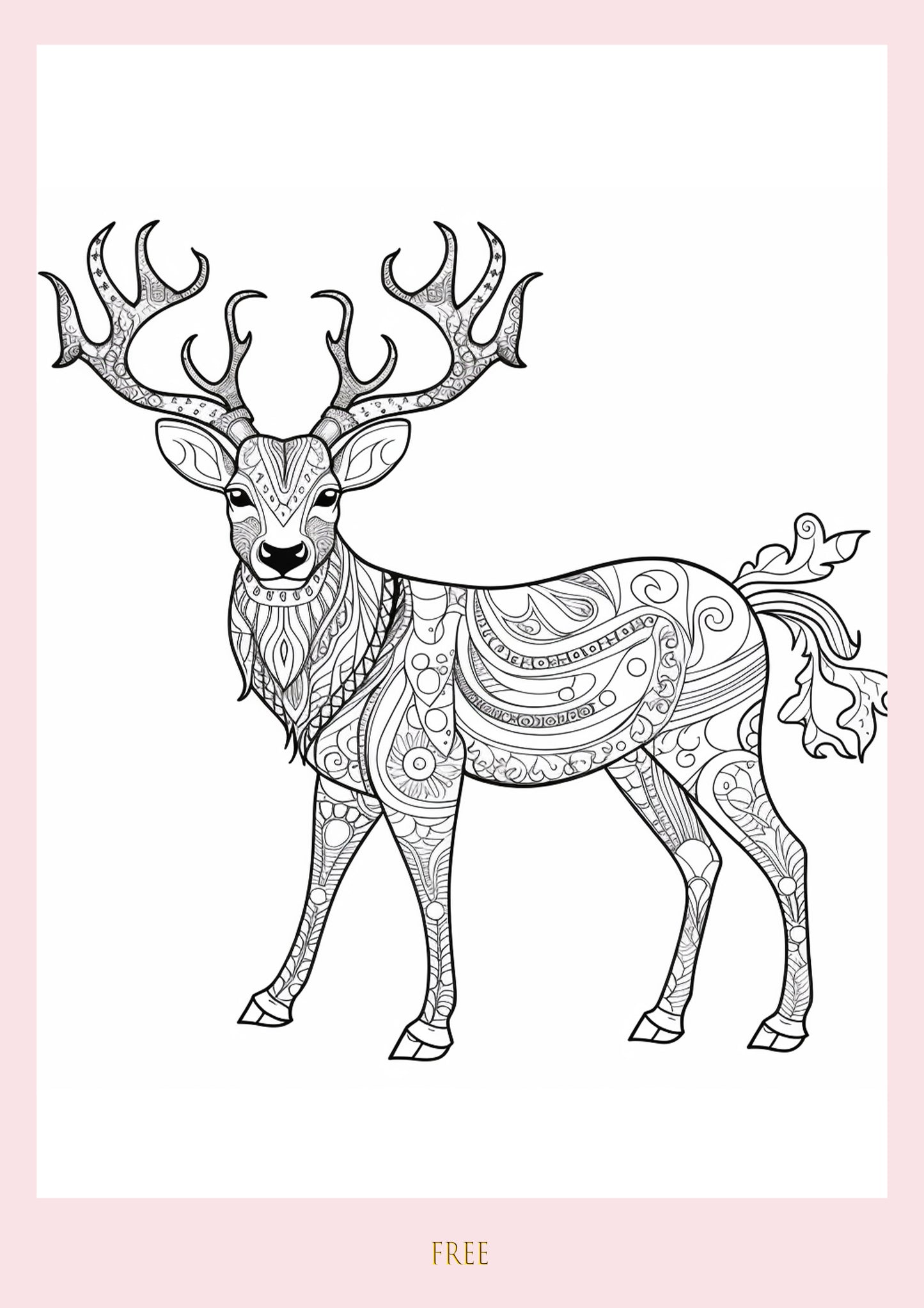 Colour Me Deer