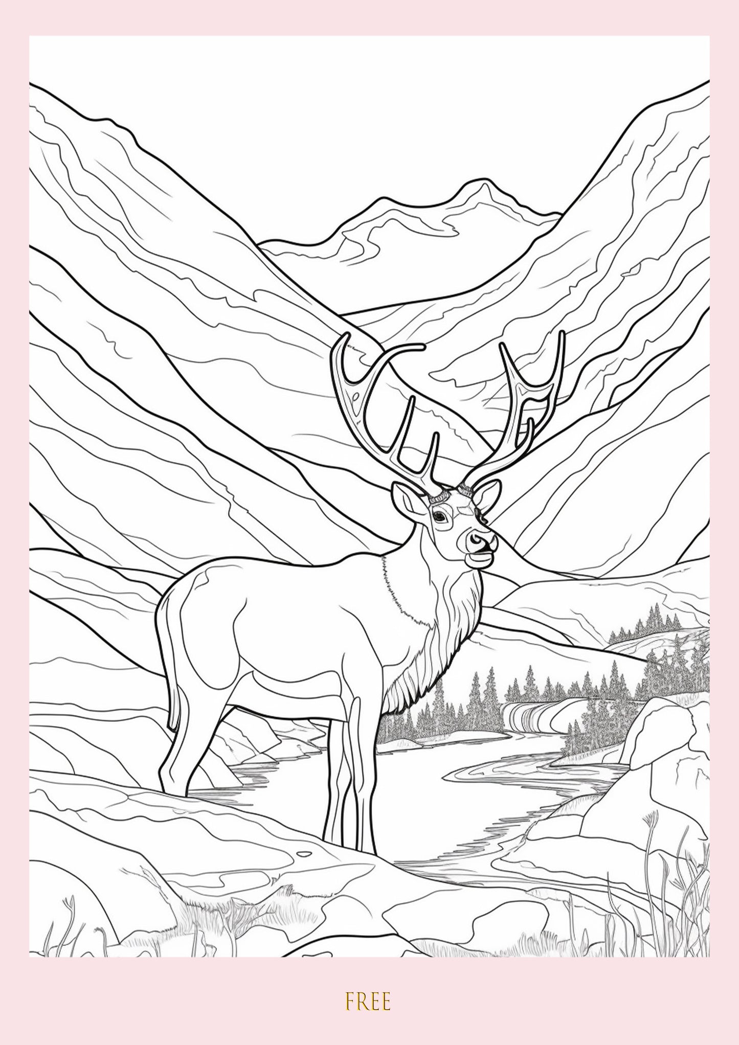 Colour Me Deer