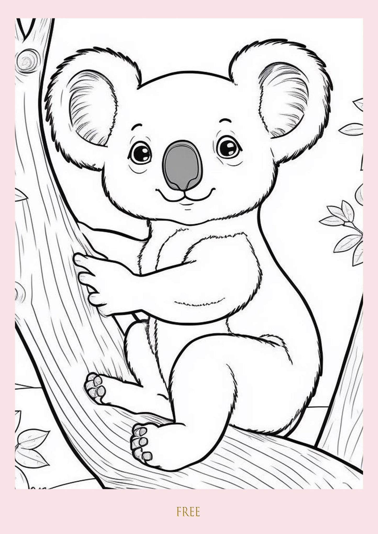 Colour Me Koalas