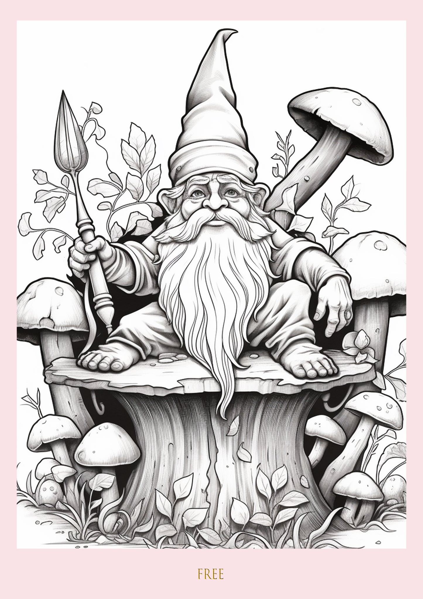 Colour Me Gnomes