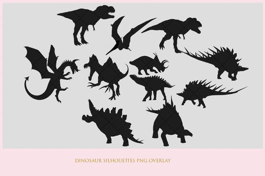 Dinosaur Silhouettes