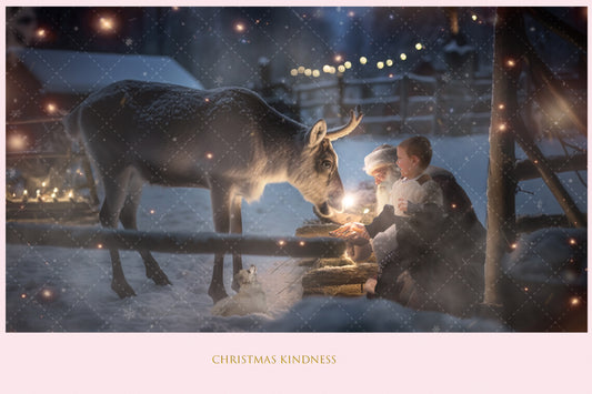 Christmas Kindness 1