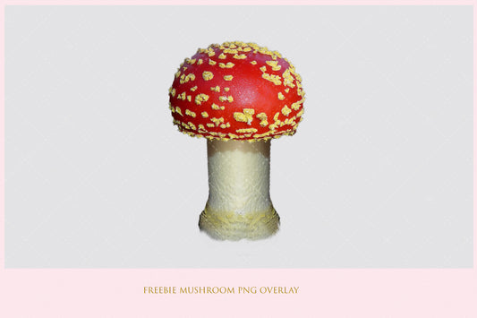 Stock Freebie Mushroom PNG