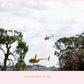 Barossa Helicopters