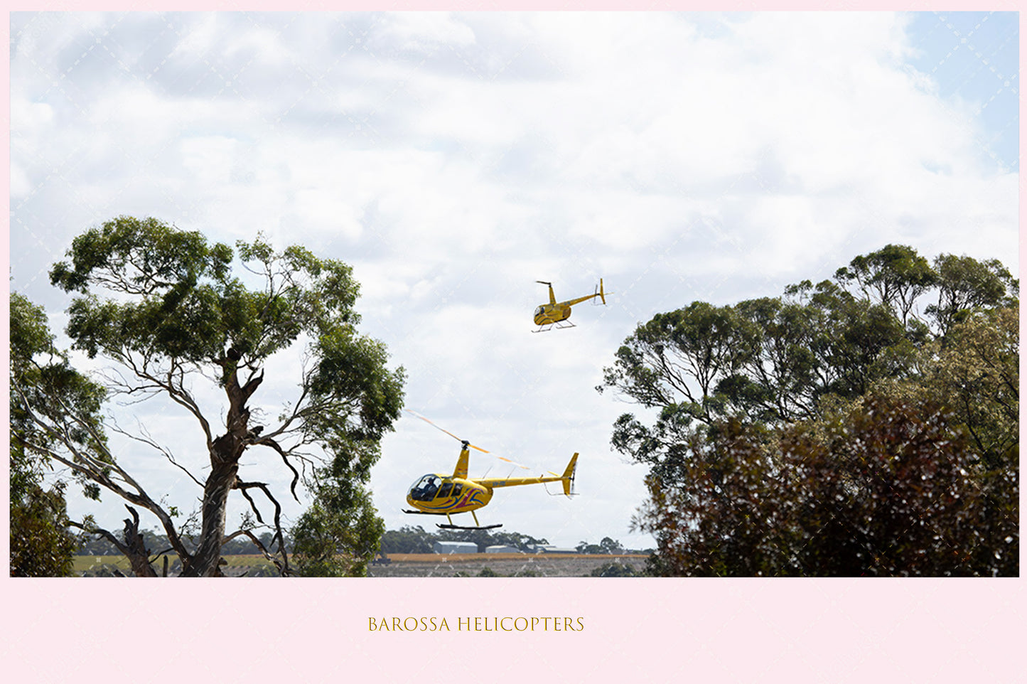 Barossa Helicopters