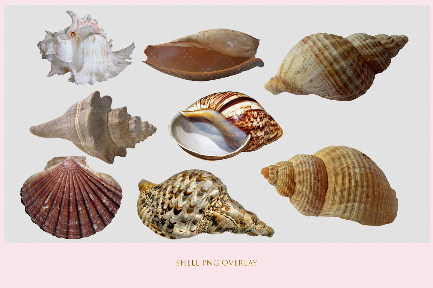 Shell Overlay