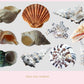 Shell Overlay