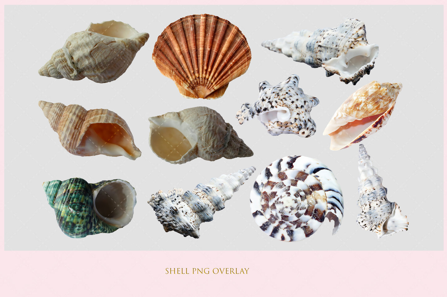 Shell Overlay