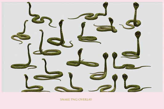 Snake Overlay