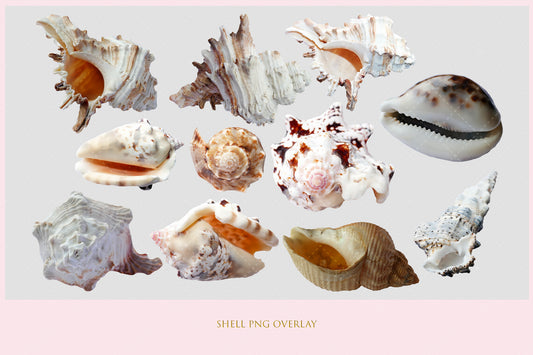 Shell Overlay