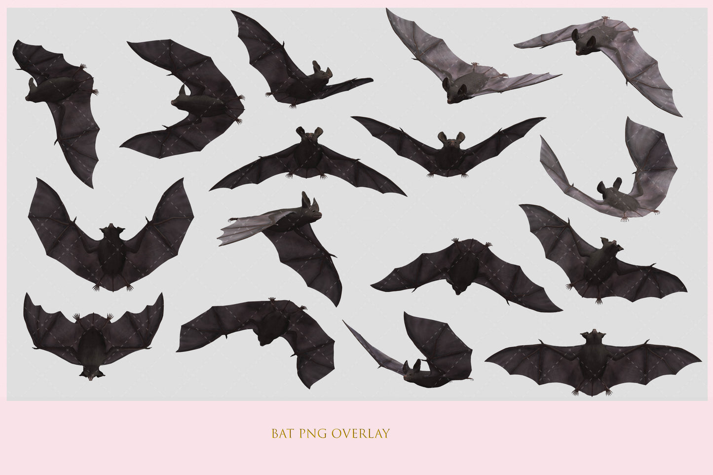 Bat Overlay