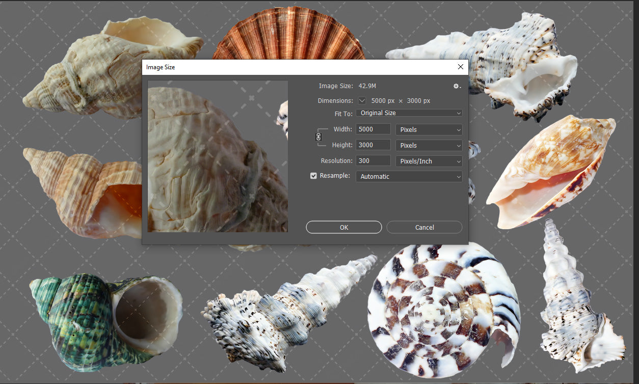 Shell Overlay