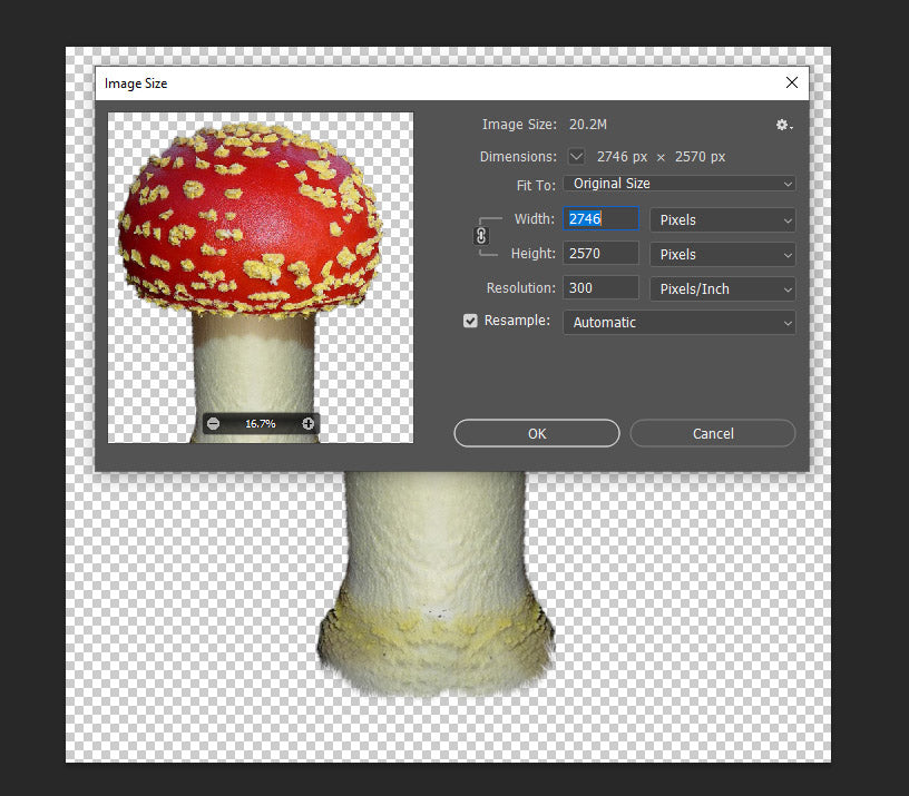 Stock Freebie Mushroom PNG