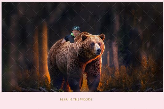 Bear in the Woods