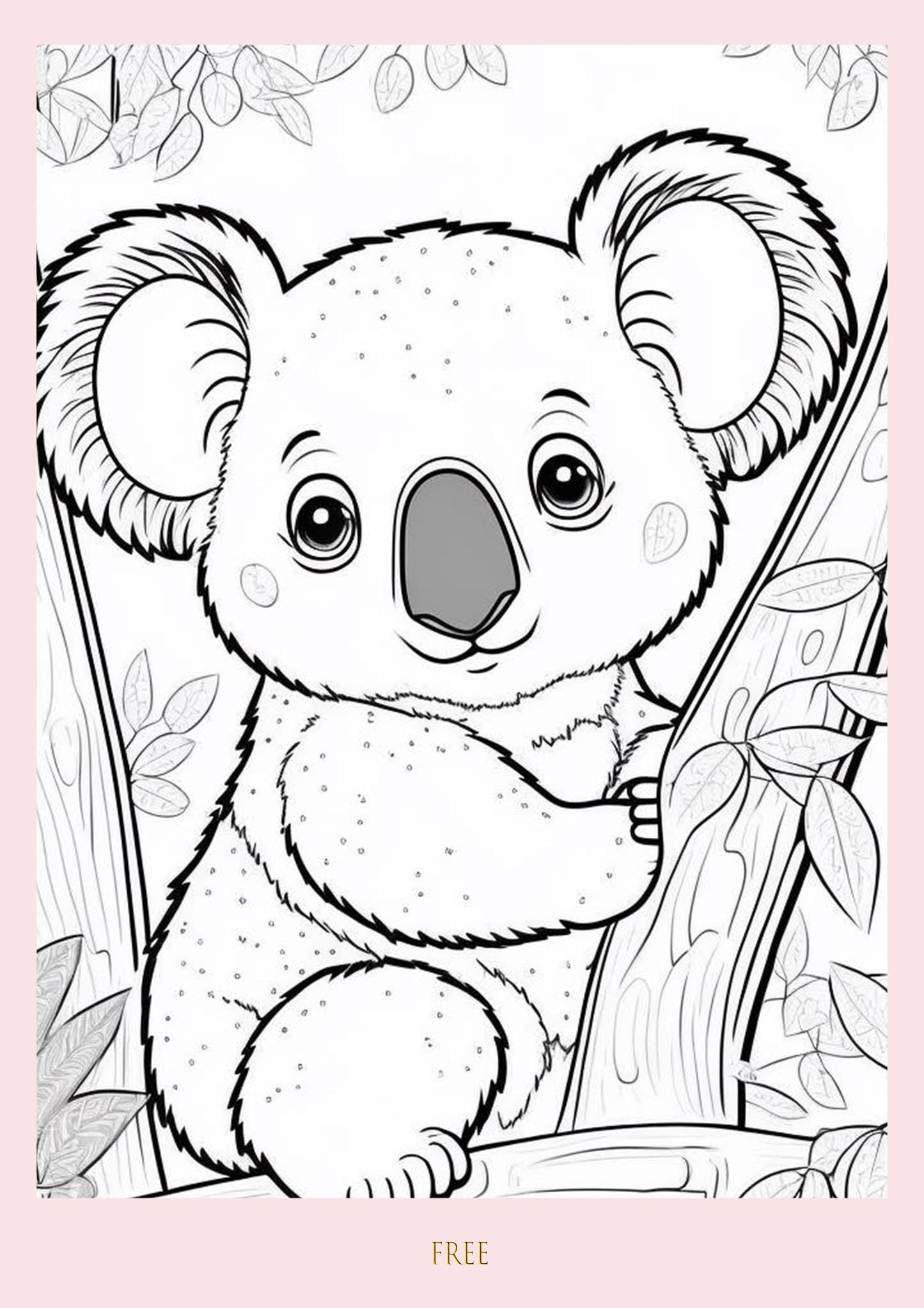 Colour Me Koalas