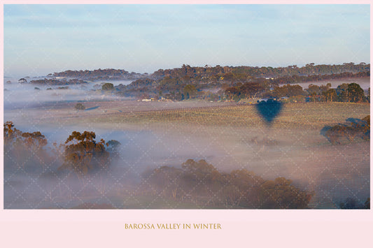 Barossa Valley in Winter