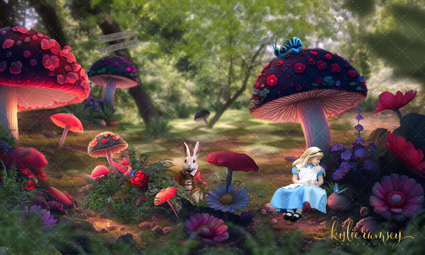 Alice In Wonderland 3