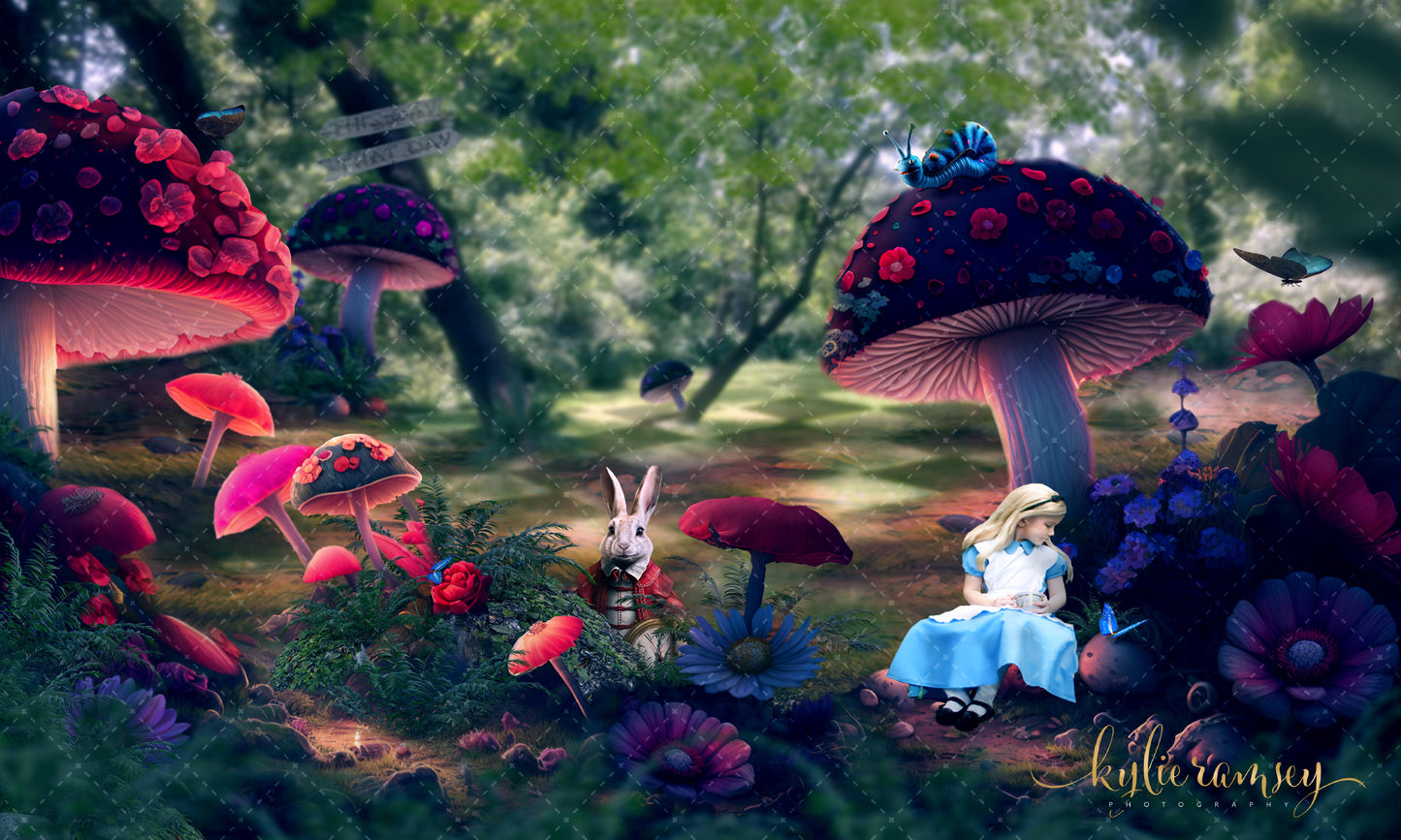 Alice In Wonderland 3