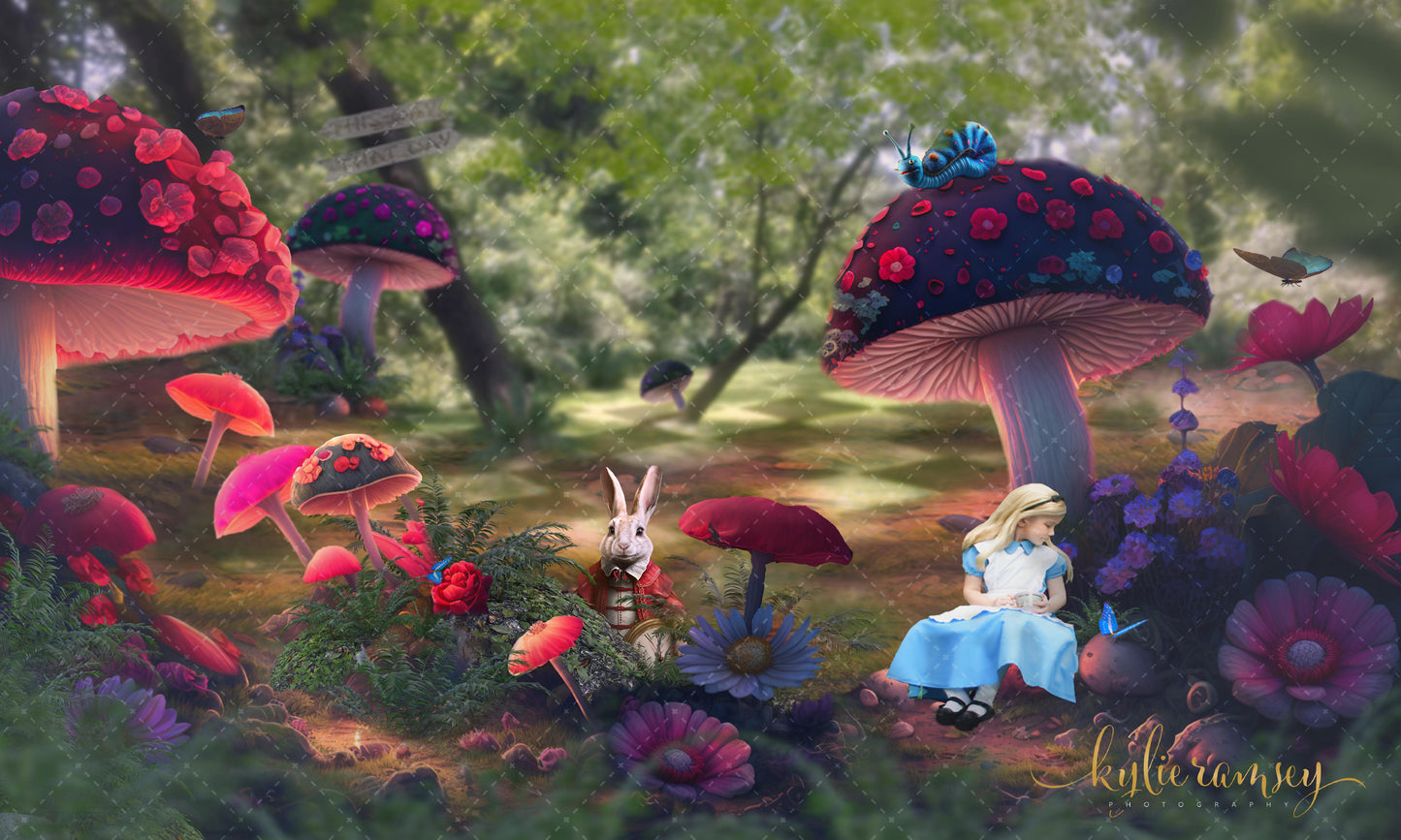 Alice In Wonderland 3