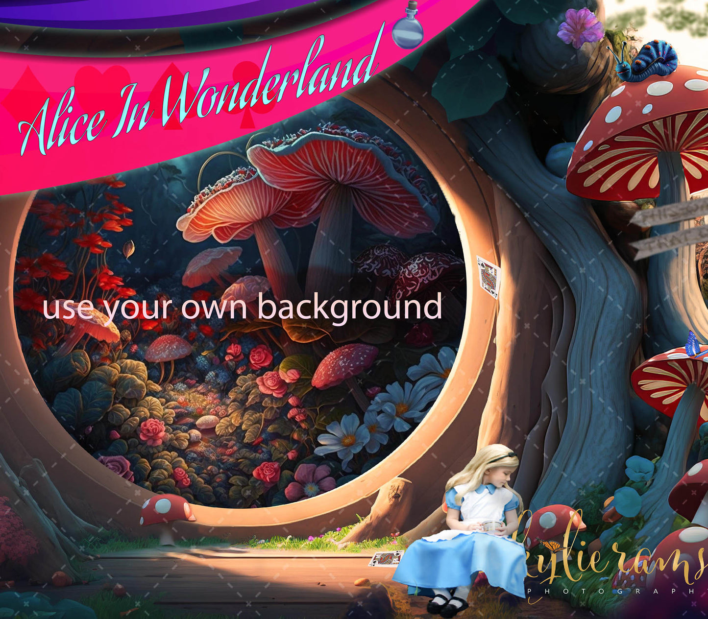 Alice In Wonderland 10