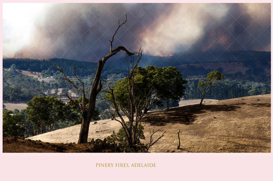 Pinery Fires