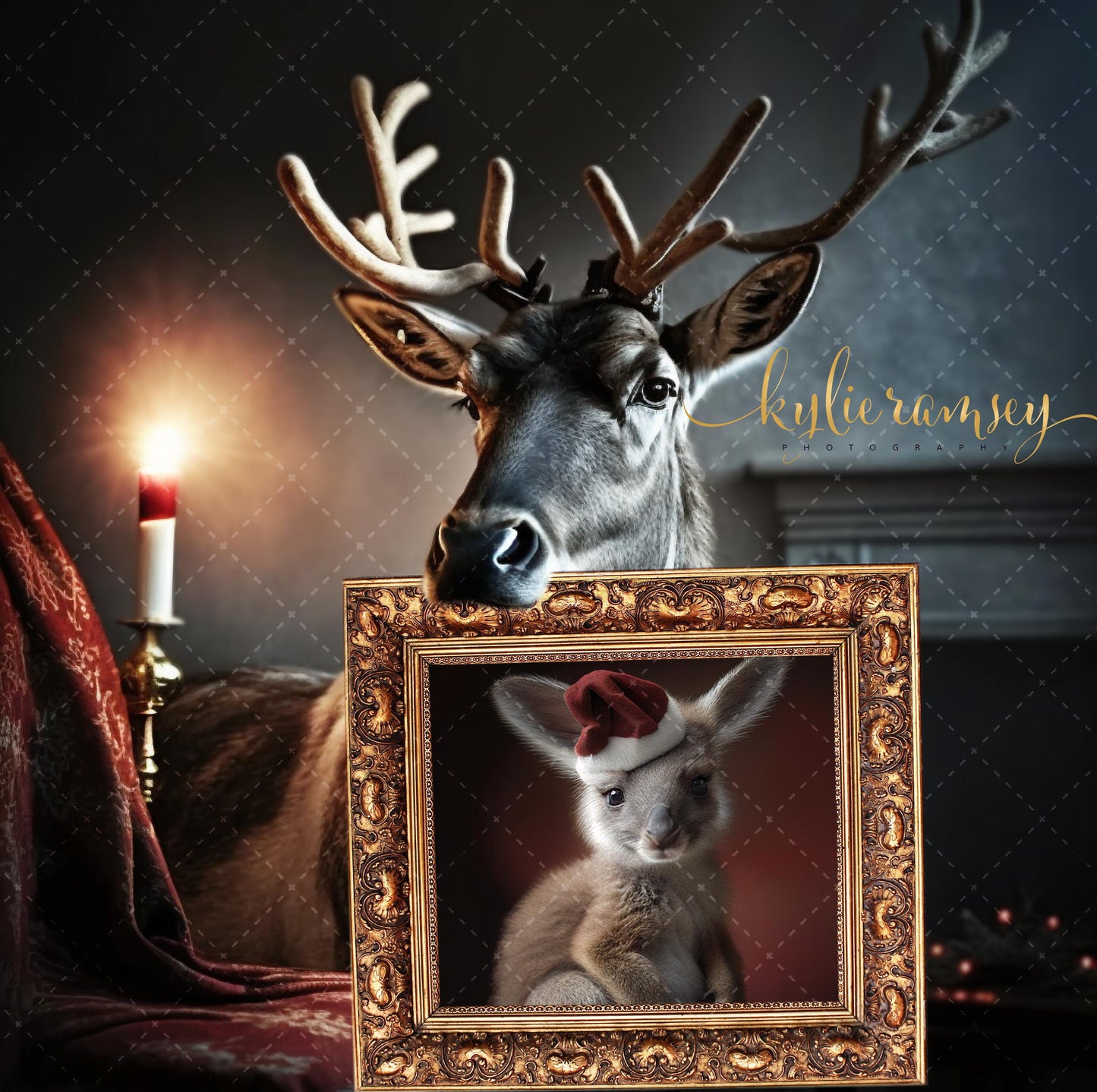 Christmas Reindeer Frame