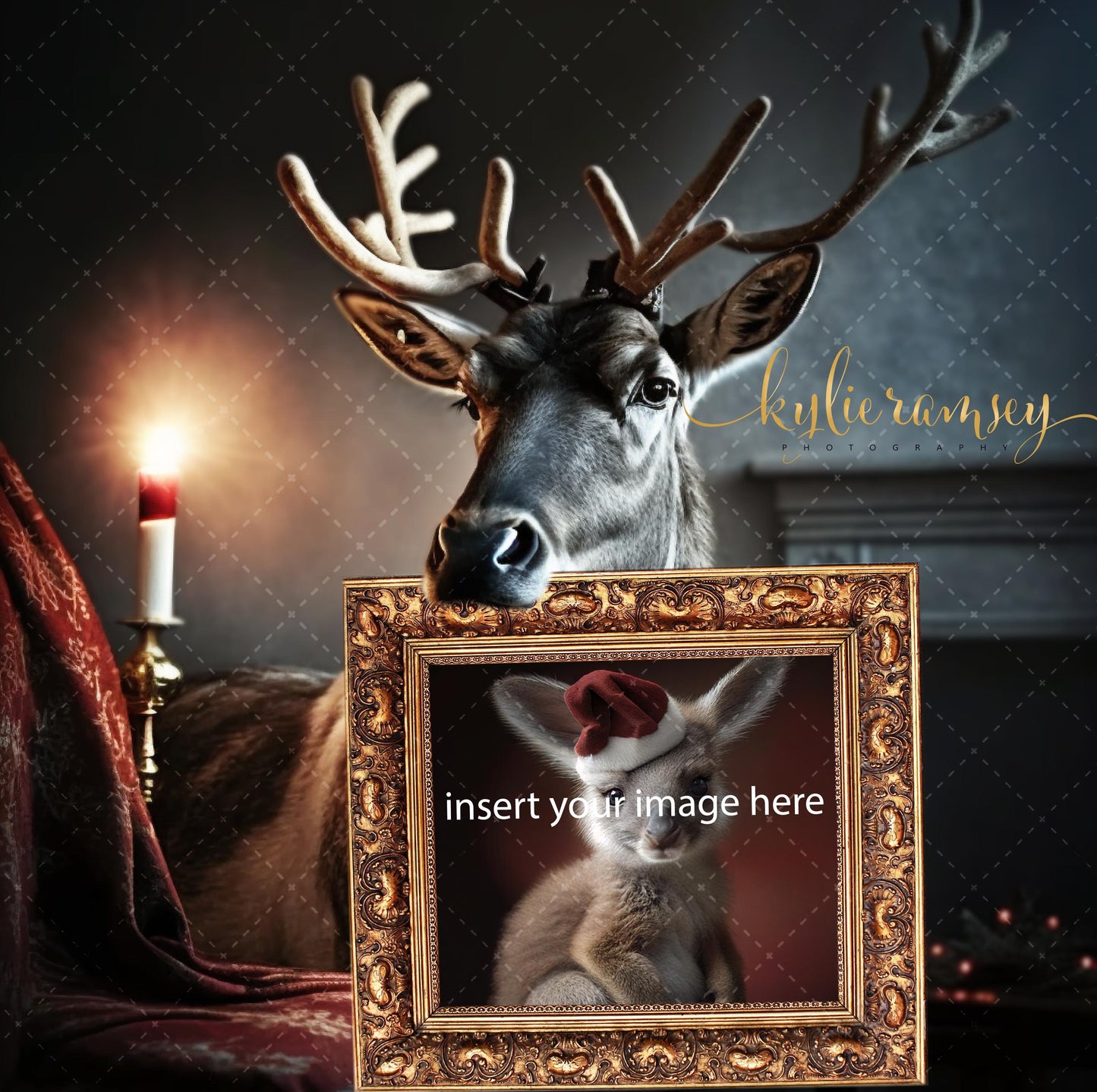 Christmas Reindeer Frame